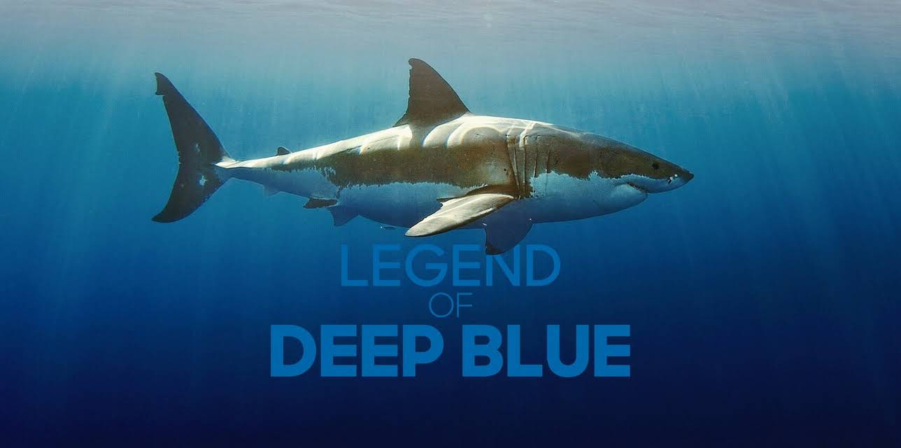 Legend of Deep Blue (2019)
