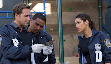 Detective Laura Diamond