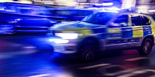 11:00 AM: Traffic Cops (S7 E6) (S7) | 5 Star | 11/6 2025