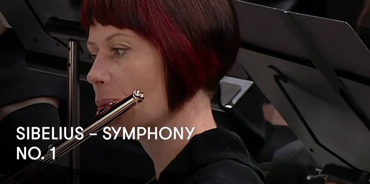 Sibelius – Symphony No. 1 (2015)