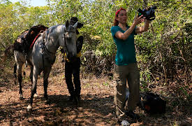 The Wheel: Episode 1