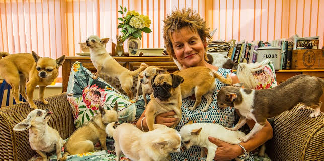 19:20: Der Super-Doc - Einsatz für 4 Pfoten | Sixx | 12/28 2025