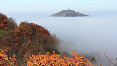 20:15: Wildes Deutschland | SWR Fernsehen RP | 4/19 2026