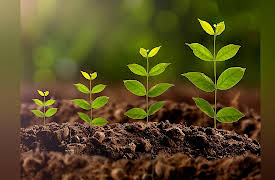 The Big History of Civilizations: Origins of Agriculture