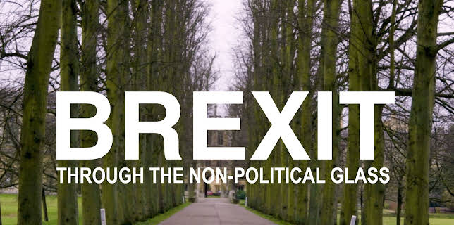 Brexit Through the Non-Political Glass (2022)