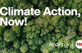 Acorn TV x TED: Transform Your Thinking: Series 1: Climate Action, Now!