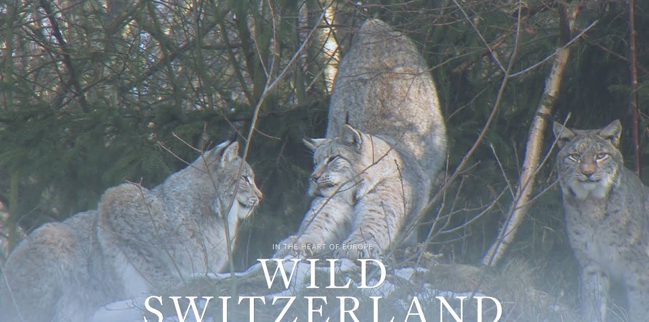 Wild Switzerland (2017)