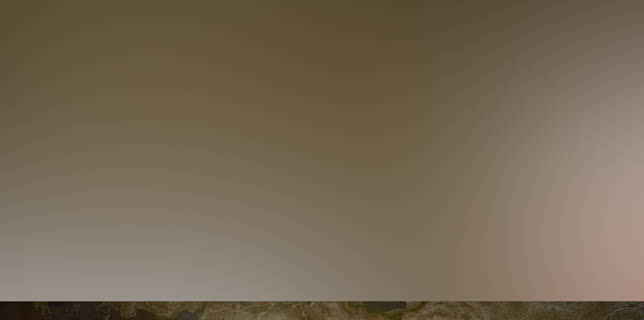 President Trump Middle East Trip