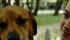 ¿Cómo lo hacen? Mundo animal: Pájaros que vuelan al revés y babosas criaturas marinas