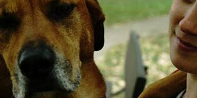 06:46: ¿Cómo lo hacen? Mundo animal: Pájaros que vuelan al revés y babosas criaturas marinas | Discovery Max | 3/1 2026