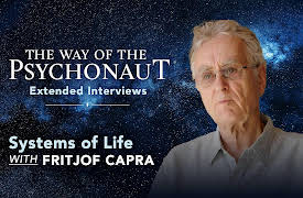 The Way of the Psychonaut: Extended Interviews: Systems of Life