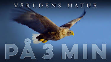 20:55: Världens natur: På tre minuter | SVT2 | 4/29 2026