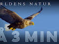 Världens natur: På tre minuter