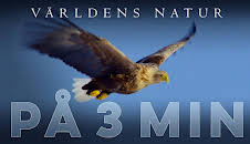 Världens natur: På tre minuter
