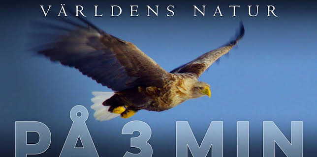 12:05: Världens natur: På tre minuter | SVT1 | 1/21 2026