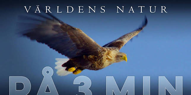 Världens natur: På tre minuter