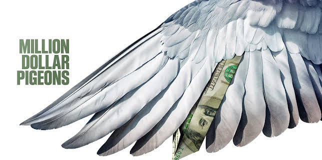 Million Dollar Pigeons (2022)