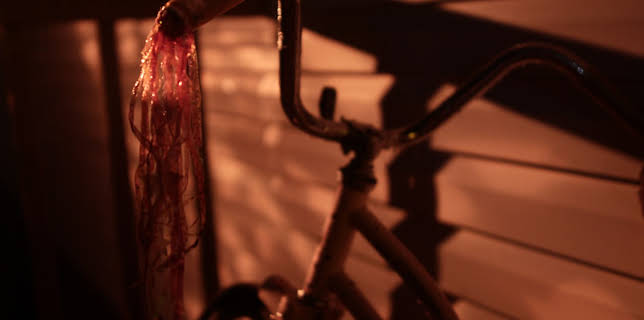 16:00: Dead Reckoning (S1 E2) (S1) | Investigation Discovery | 11/5 2025