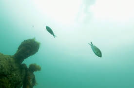 Rome The World's Last Superpower: City of Blood