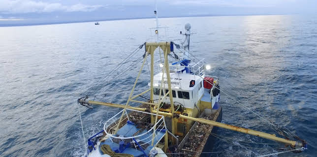 10:00 AM: Trawlermen: Hunting the Catch (S1 E3) (S1) | Yesterday | 11/30 2025