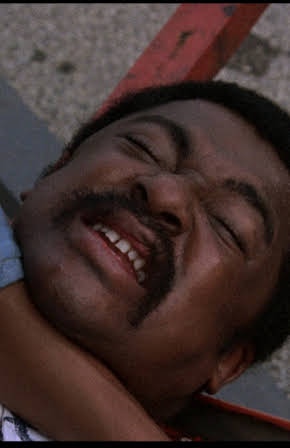 D'Urville Martin as Diego