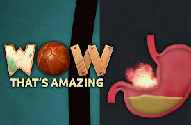 Wow That's Amazing: Afterimages