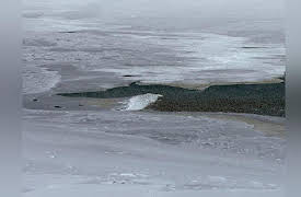 Frozen Planet Season 1: Winter, Part 1