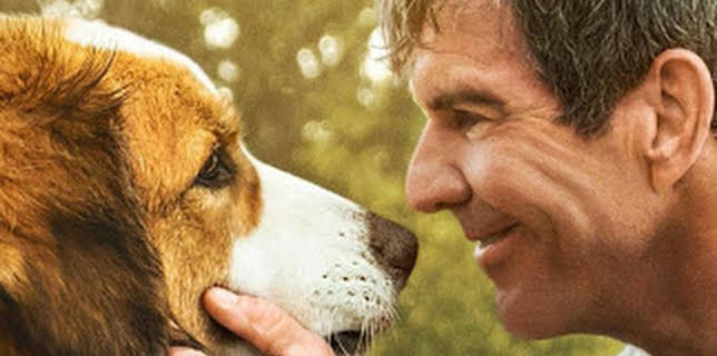 23:00: A Dog's Journey (IMDb 7.4) | Viasat Film Family | 12/17 2025