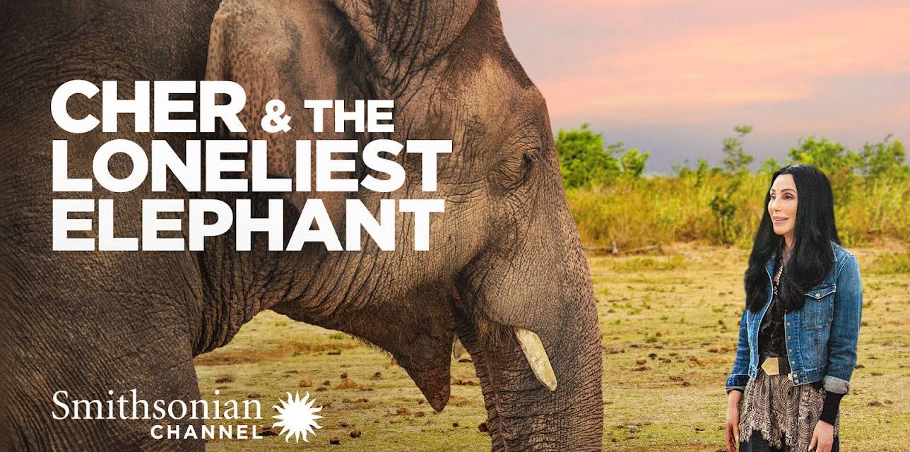 Cher & the Loneliest Elephant (2021)