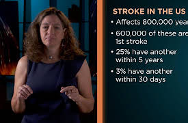 Understanding Disorders of the Brain: Stroke, Part 1