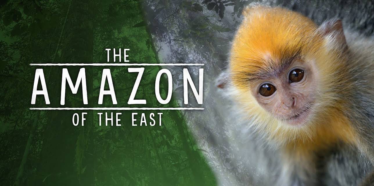 The Amazon of the East