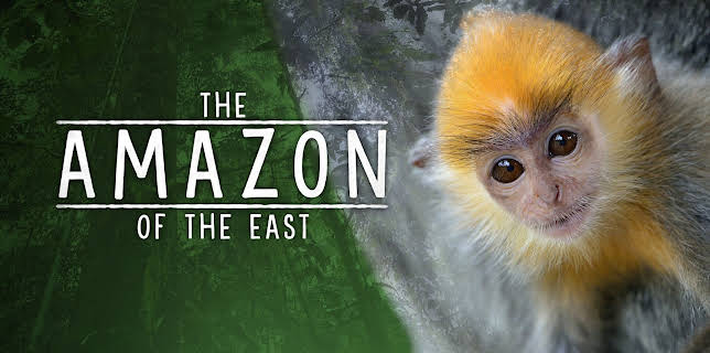 The Amazon of the East