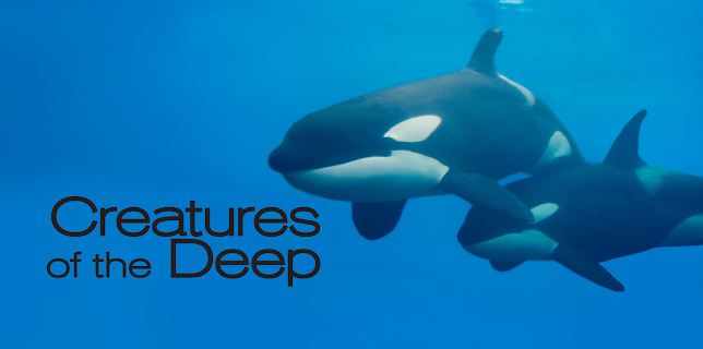 Creatures of the Deep Season 1