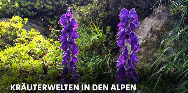 09:20: Kräuterwelten in den Alpen | MDR Fernsehen | 3/1 2026