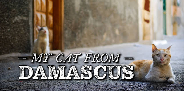 My Cat from Damascus (2025)