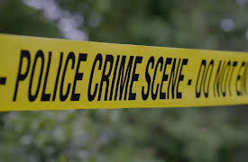 Cold Case Files: DNA Speaks Season 1: A Fatal Path