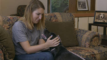 14:00: Pit Bulls & Parolees (S9 E10) (S9) | Animal Planet | 3/29 2026