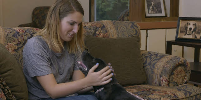 06:00: Pit Bulls & Parolees (S9 E10) (S9) | Animal Planet | 11/22 2025