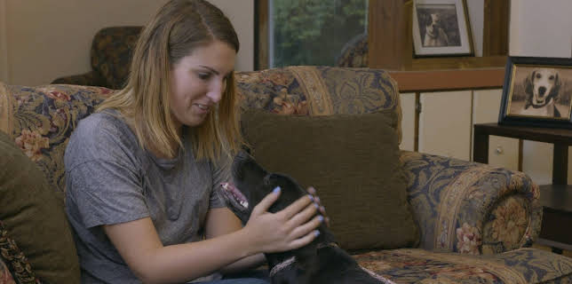 Pit Bulls & Parolees