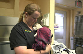 Dr. Dee: Alaska Vet: Episode 6