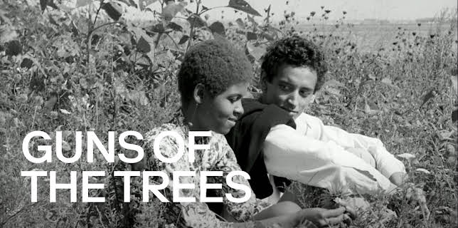 Guns of the Trees (1961)