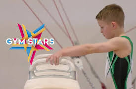 Gym Stars: The Next Level