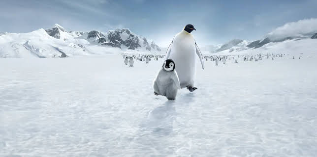 March of the Penguins 2: The Call (2018)