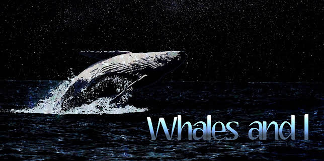 Whales and I