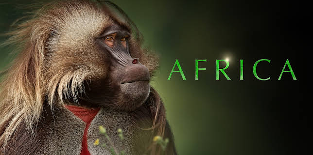 Africa Season 1