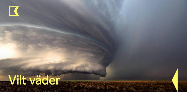 20:10: Vilt väder | Kunskapskanalen | 12/21 2025