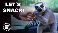 Elefant, Tiger & Kids: Zoo-Praktikum backstage