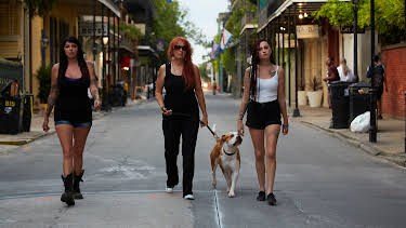 06:00: Pit Bulls & Parolees (S4 E16) (S4) | Animal Planet | 4/4 2026