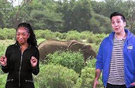 First Stop News: Mind-Blowing Animal Facts!