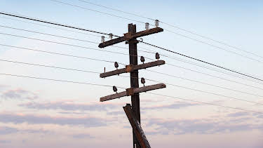 08:36: Hvordan den lages (S23 E24) (S23) | Discovery Science | 3/29 2026